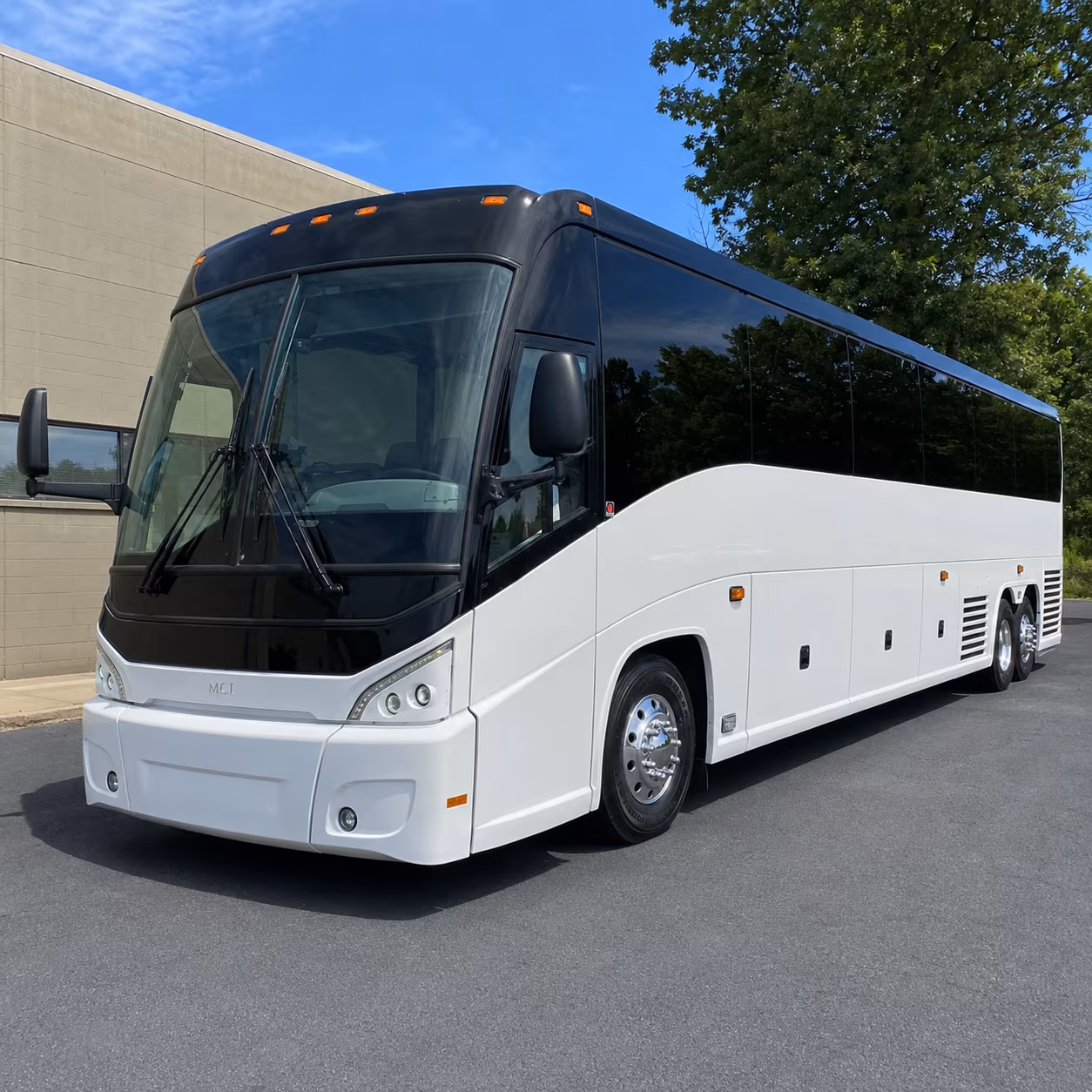 laredocharterbusservices com is ready to help with washington s birthday celebration and every major laredo event
